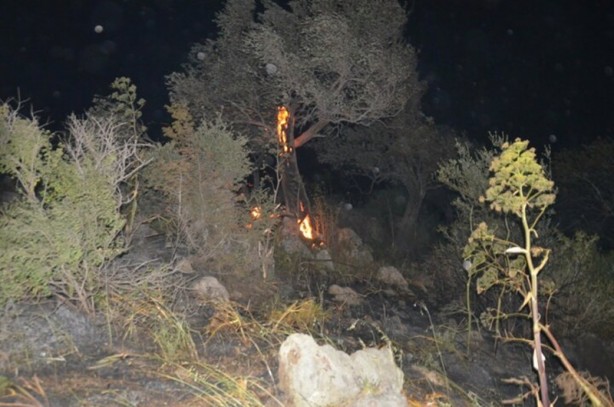 Foto - Muğla’da beşer dakika arayla iki orman yangını