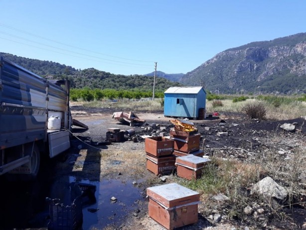 Foto - Muğla'da bir araçta yangın! Arı kovanları zarar gördü