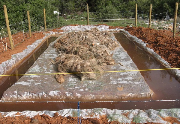 Foto - Muğla’da biyolojik mücadele başladı! Orman yangınlarına göre 5 kat zararlı