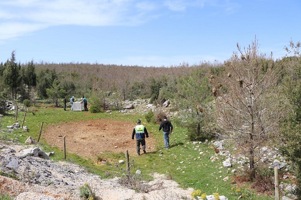 Foto - Muğla’da biyolojik mücadele başladı! Orman yangınlarına göre 5 kat zararlı