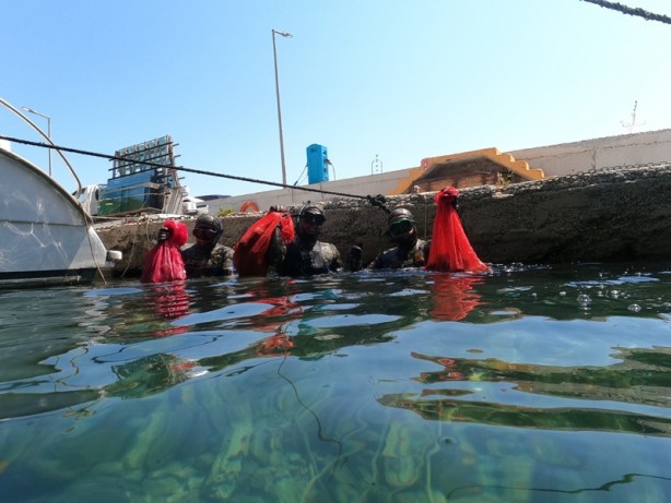 Foto - Muğla'da deniz dibi temizliği etkinliği