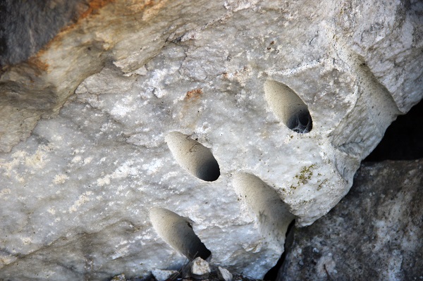 Foto - Muğla'da heyecanlandıran keşif! Tam 2 bin 500 yıllık