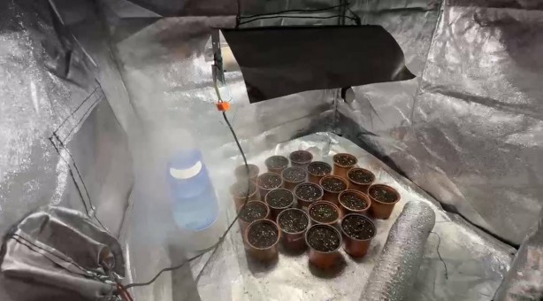 Foto - Muğla’da kilolarca uyuşturucuyla yakalandı: Savunması jandarmayı güldürdü! Hadi git işine be adam