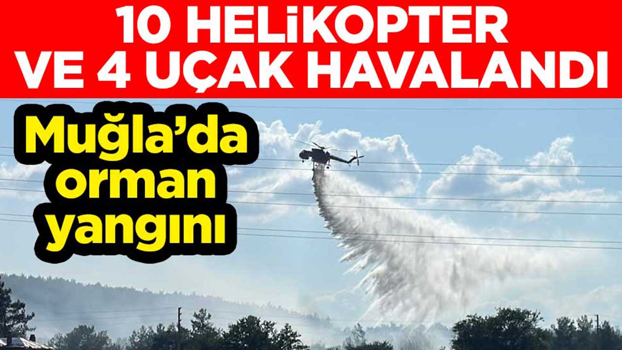 Muğla'da orman yangını! 10 helikopter ve 4 uçak havalandı