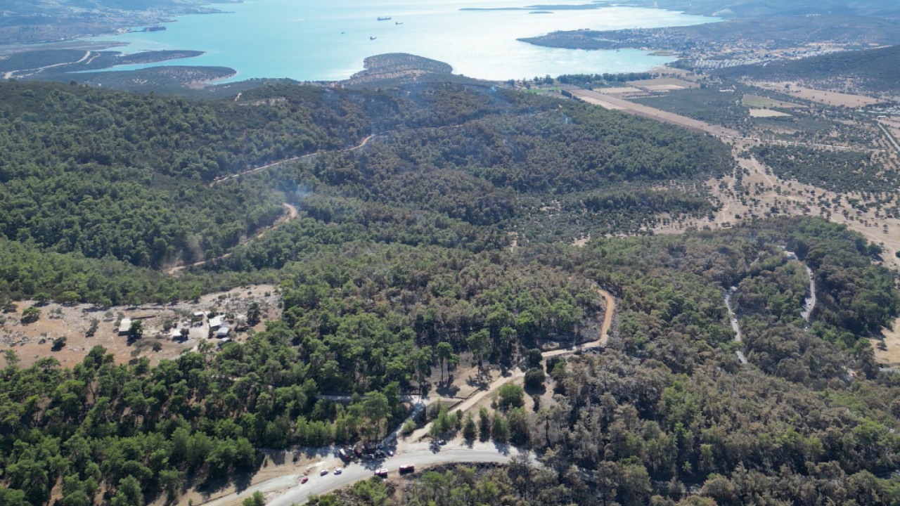 Foto - Muğla'da orman yangını! 3 helikopter ve 2 uçak havalandı