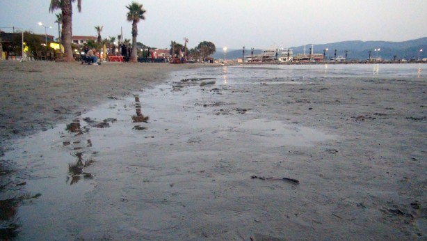 Foto - Muğla'da ürküten görüntüyle ilgili uzmanlardan flaş açıklama