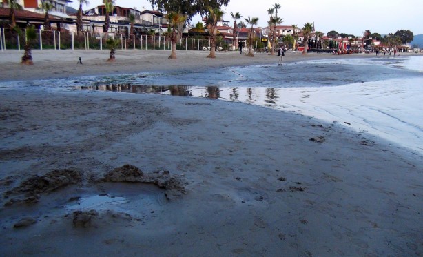Foto - Muğla'da ürküten görüntüyle ilgili uzmanlardan flaş açıklama