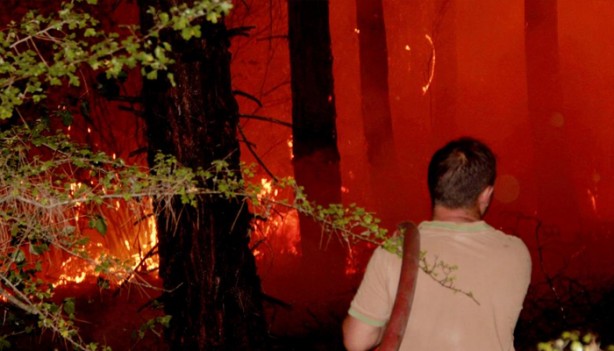 Foto - Muğla'dan gelen son görüntüler yürekleri dağladı