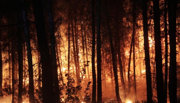 Foto - Muğla'dan gelen son görüntüler yürekleri dağladı