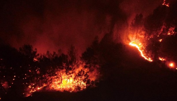 Muğla'dan gelen son görüntüler yürekleri dağladı