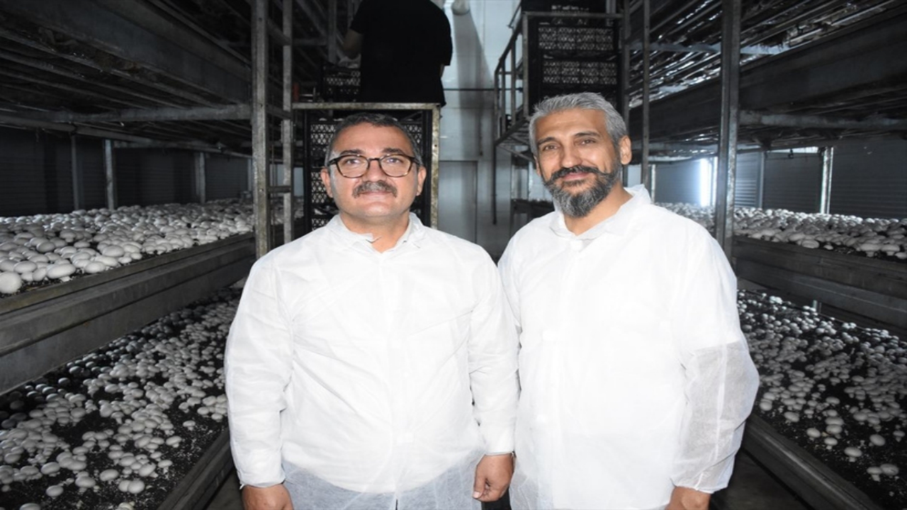 Foto - Mühendisliği bırakıp, devlet desteğiyle bu tesisi kurdu! Ayda 15 ton ürün satıyor, resmen para basıyor