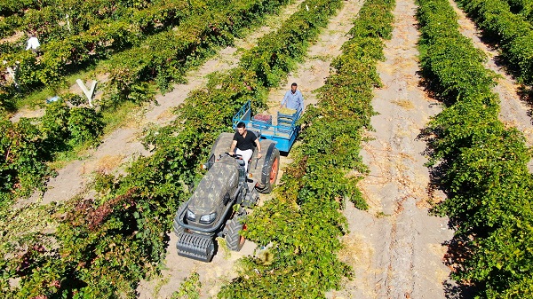 Foto - Mühendisliği bıraktı köye yerleşti! Şimdilerde 5 mühendis maaşı kazanıyor