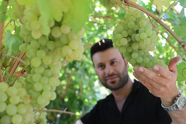 Foto - Mühendisliği bıraktı köye yerleşti! Şimdilerde 5 mühendis maaşı kazanıyor