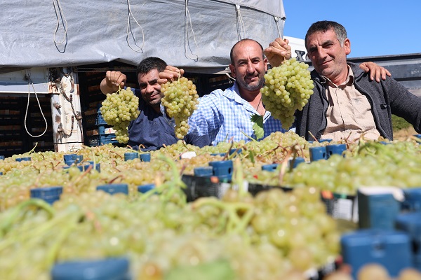 Foto - Mühendisliği bıraktı köye yerleşti! Şimdilerde 5 mühendis maaşı kazanıyor