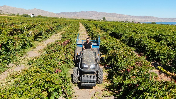 Foto - Mühendisliği bıraktı köye yerleşti! Şimdilerde 5 mühendis maaşı kazanıyor