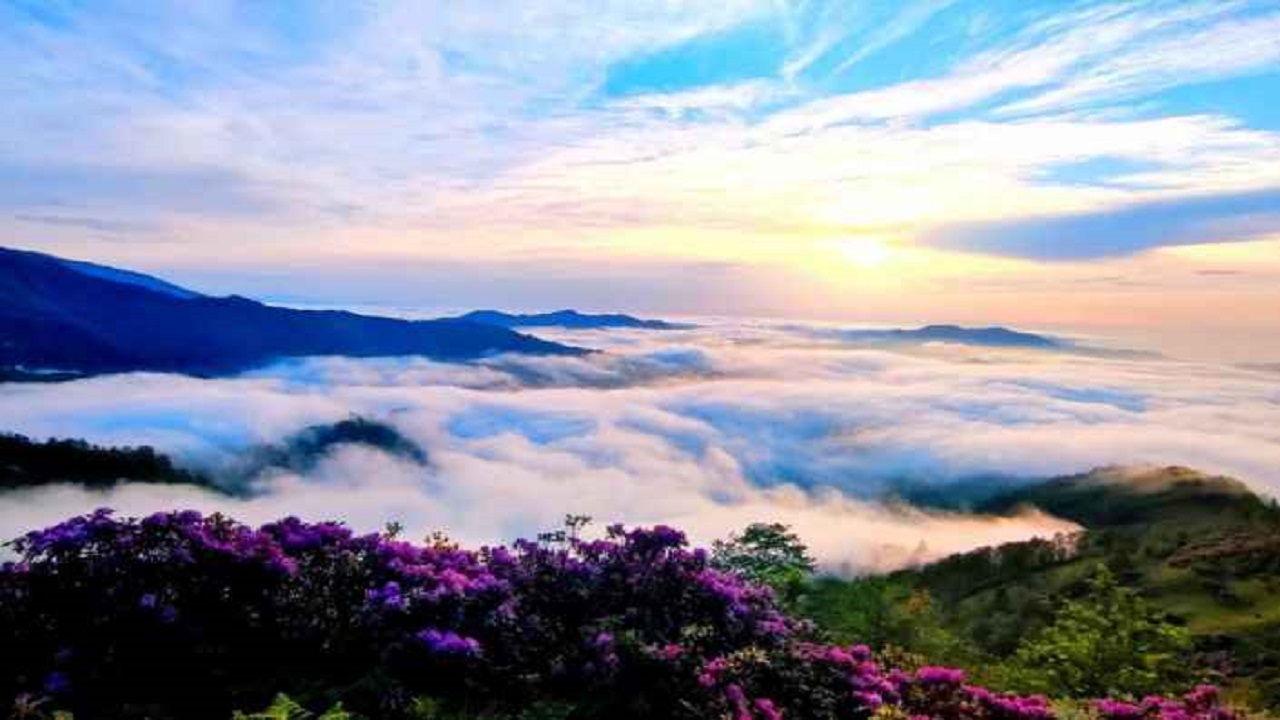 Foto - Muhteşem doğasıyla nefes kesiyor! O yaylaya ulaşmak artık daha kolay