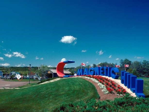 Foto - Dünyanın dört bir yanından muhteşem görüntüler