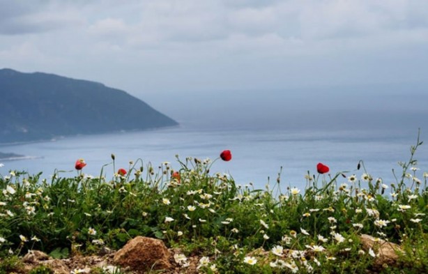 Foto - Dünyanın dört bir yanından muhteşem görüntüler