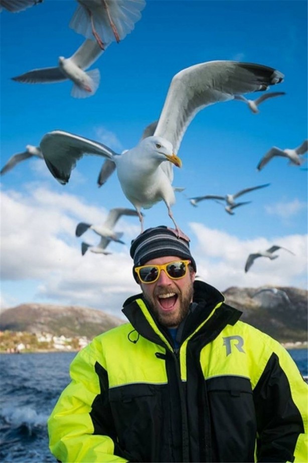 Foto - Muhteşem zamanlamayla çekilmiş fotoğraflar