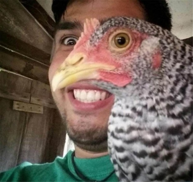 Foto - Muhteşem zamanlamayla çekilmiş fotoğraflar