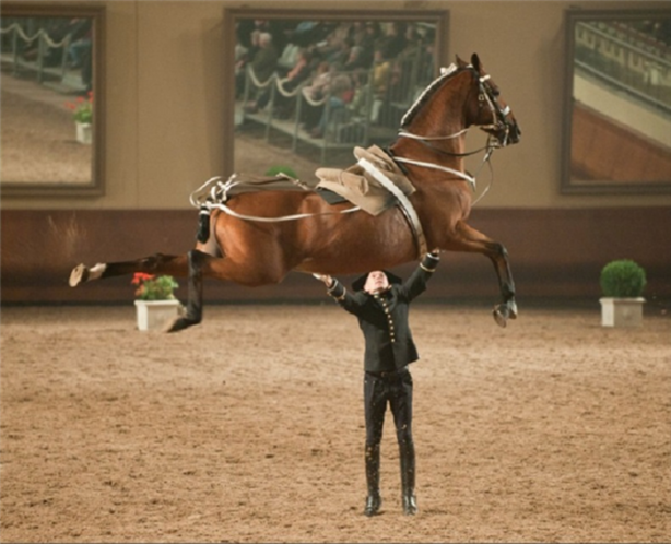 Foto - Muhteşem zamanlamayla çekilmiş fotoğraflar