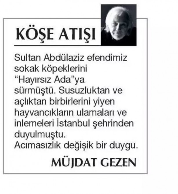 Foto - Müjdat Gezen cahilliği kimseye kaptırmıyor! Sana köşe verende suç
