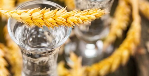 Foto - Müjde gibi müjde! Ünlü içki markası iflas etti