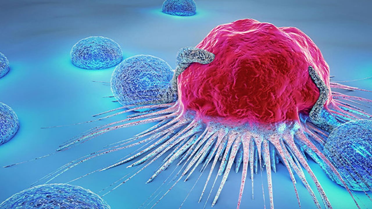 Müjde resmen geldi: Daha fazla egzersiz yapmak kanser karşı riskini azaltır! Yeniden araştırdılar