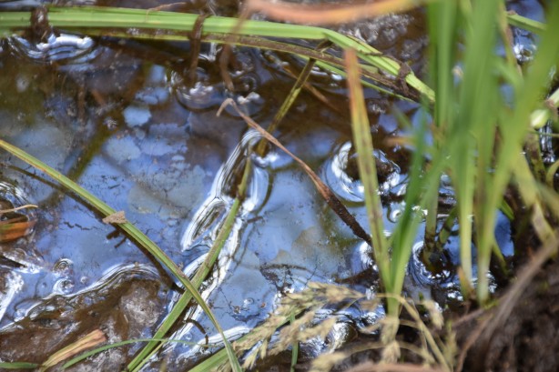 Foto - Müjdeli haber her an gelebilir! Karadeniz’i yeni petrol heyecanı sardı