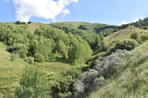Foto - Müjdeli haber her an gelebilir! Karadeniz’i yeni petrol heyecanı sardı