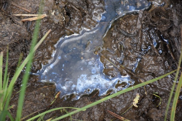 Foto - Müjdeli haber her an gelebilir! Karadeniz’i yeni petrol heyecanı sardı