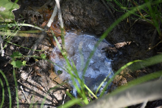 Foto - Müjdeli haber her an gelebilir! Karadeniz’i yeni petrol heyecanı sardı