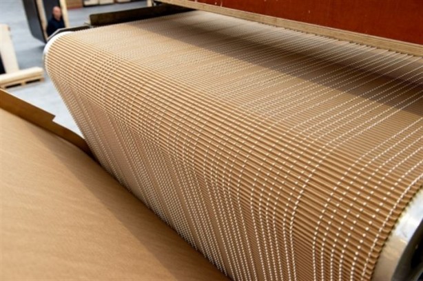 Foto - Mukavvadan ev yapıldı