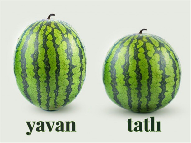 Foto - Mükemmel karpuz seçmenin püf noktaları