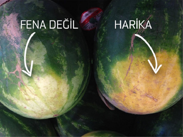 Foto - Mükemmel karpuz seçmenin püf noktaları