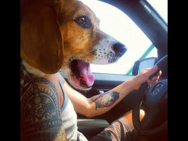 Foto - Mükemmel zamanlama ile çekilmiş harika fotoğraflar