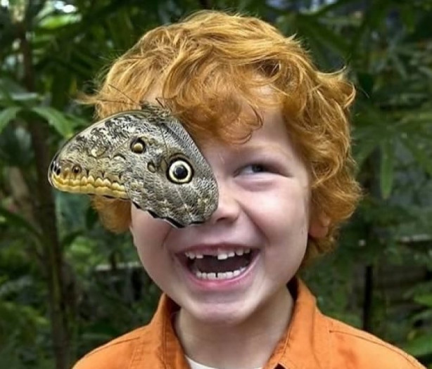 Foto - Mükemmel zamanlama ile çekilmiş harika fotoğraflar