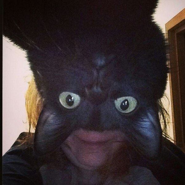 Foto - Mükemmel zamanlama ile çekilmiş harika fotoğraflar