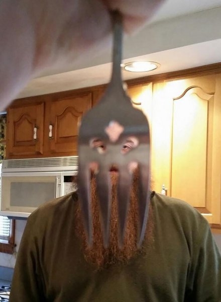 Foto - Mükemmel zamanlama ile çekilmiş harika fotoğraflar