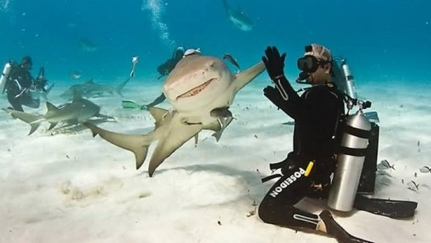 Foto - Mükemmel zamanlama ile çekilmiş harika fotoğraflar