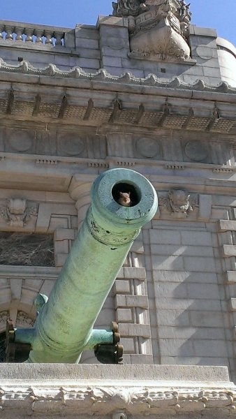 Foto - Mükemmel zamanlama ile çekilmiş harika fotoğraflar