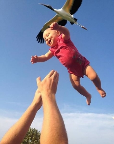 Foto - Mükemmel zamanlama ile çekilmiş harika fotoğraflar