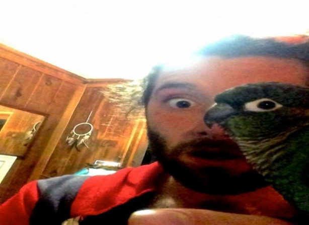 Foto - Mükemmel zamanlama ile çekilmiş harika fotoğraflar