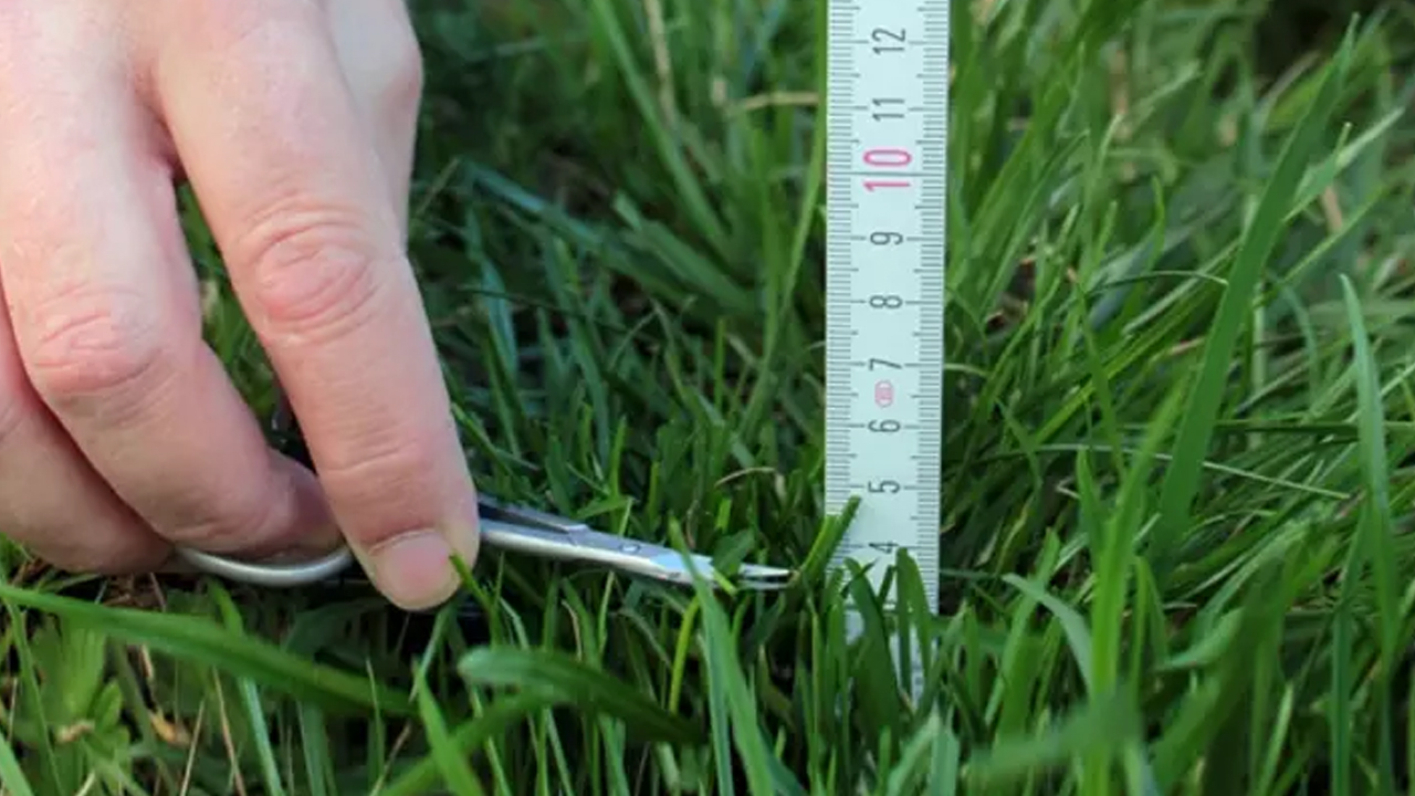 Foto - Mükemmeliyetçilik sendromunun 4 belirtisi! Kusursuza ulaşma çabası: Mükemmeliyetçilik nedir? 