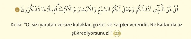Foto - Mülk Suresi oku: Mülk (Tebareke) suresi okunuşu ve Türkçe meali