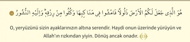 Foto - Mülk Suresi oku: Mülk (Tebareke) suresi okunuşu ve Türkçe meali