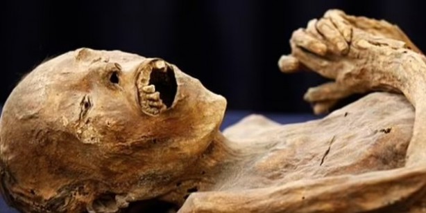 Foto - Mumya geri döndü! Hareket eden cesedi gören uzmanlardan 'sakın yaklaşmayın' uyarısı: Tehlike saçıyor!