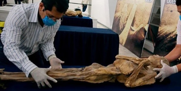 Mumya geri döndü! Hareket eden cesedi gören uzmanlardan 'sakın yaklaşmayın' uyarısı: Tehlike saçıyor!