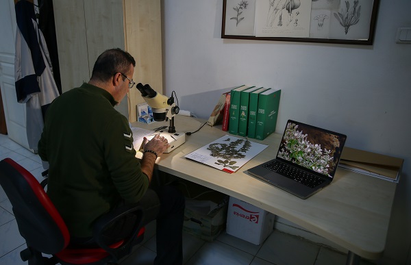 Foto - Munzur Vadisi'nde yeni tür keşfedildi