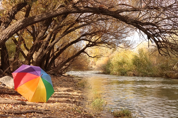 Foto - Muradiye Şelalesi fotoğraf tutkunlarının gözdesi oldu